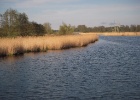 Picture 036